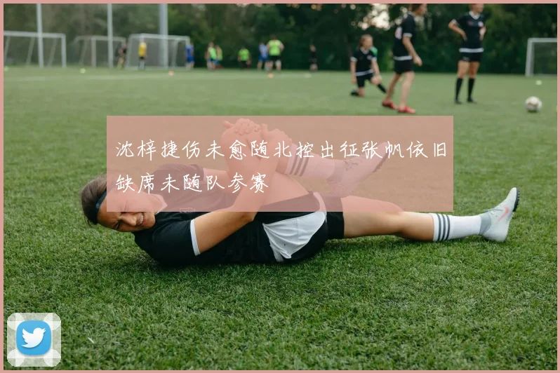 沈梓捷伤未愈随北控出征张帆依旧缺席未随队参赛